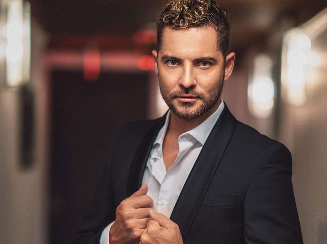 David Bisbal Music Artist Profile