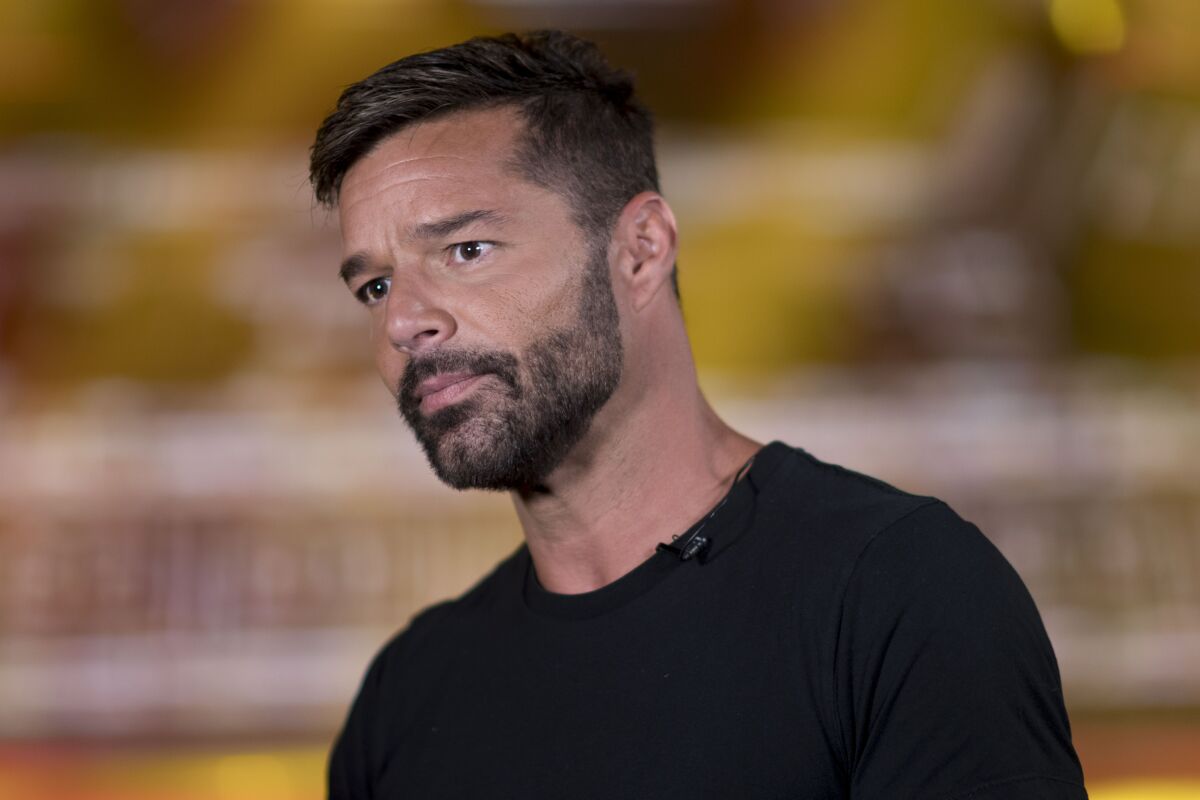 Ricky Martin Music Artist Profile