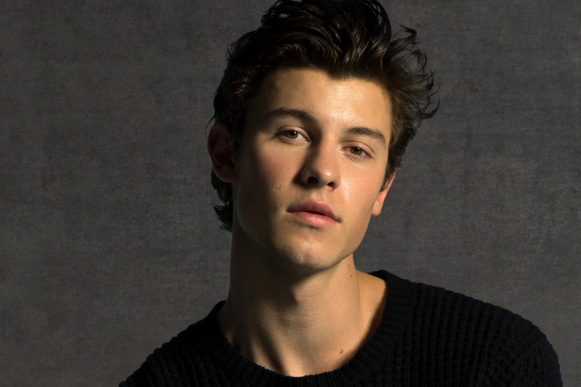 Shawn Mendes Music Artist Profile